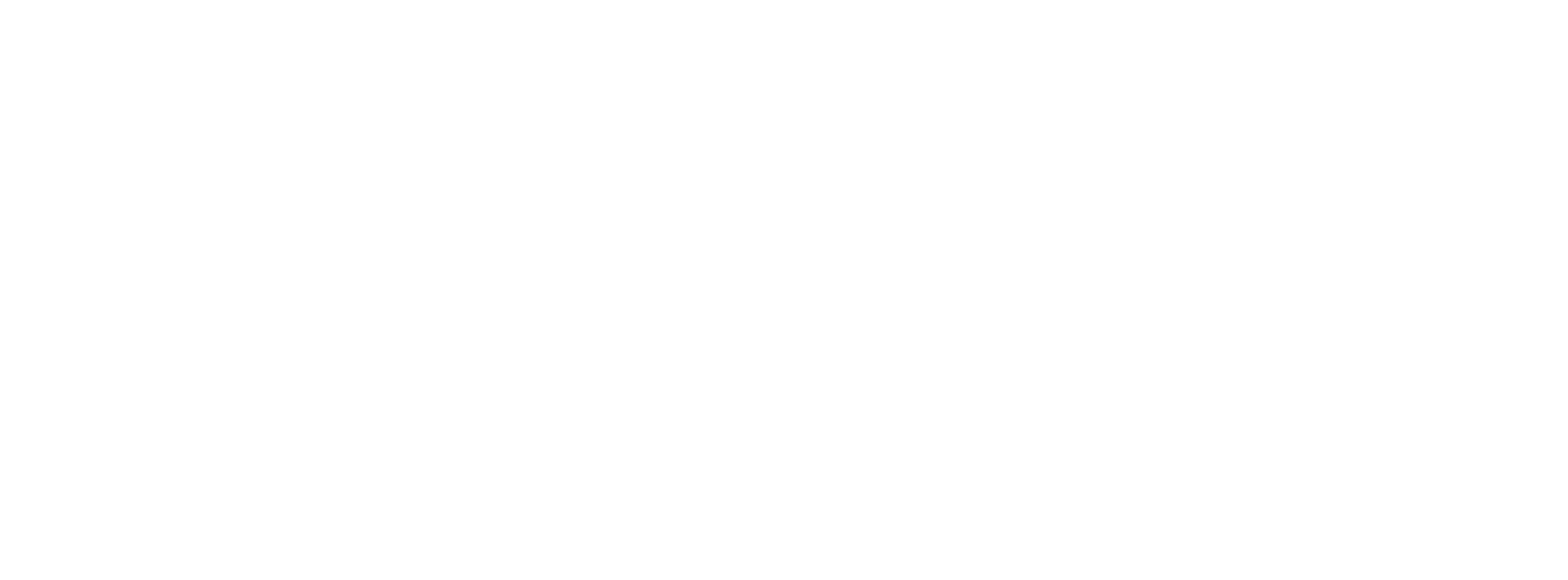 Salus Agency